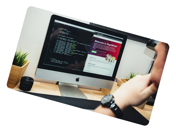 Web development process